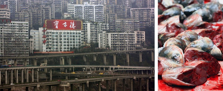 Chongqing, China