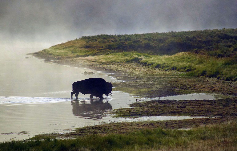 Yellowstone NP