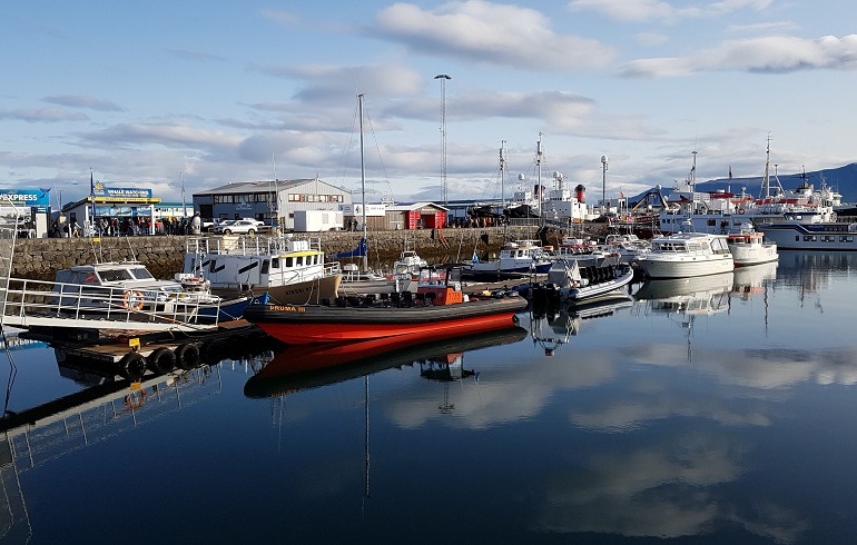 Boote im Hafen von Reykjavik