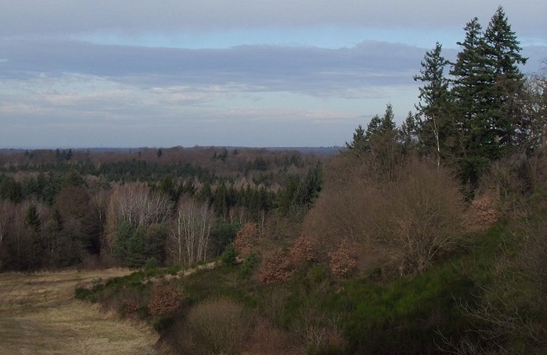 Auf dem Ölschiefer-Weg rund um die Grube Messel