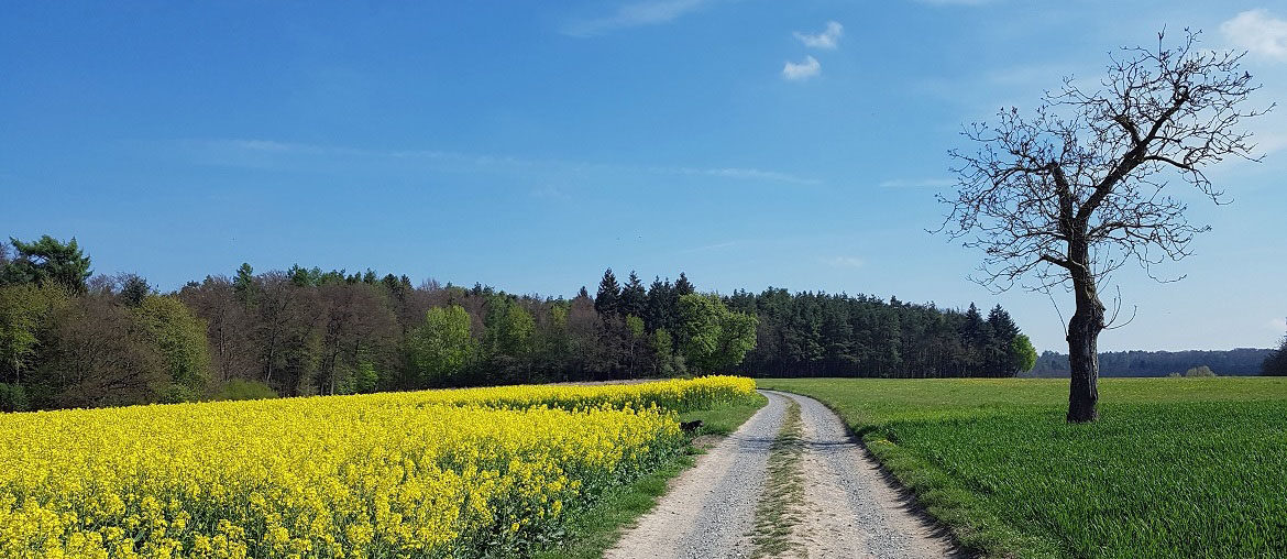 Fürstengrund-Wanderung