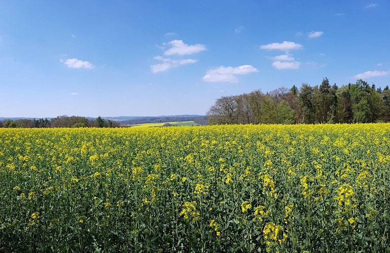 Fürstengrund-Wanderung