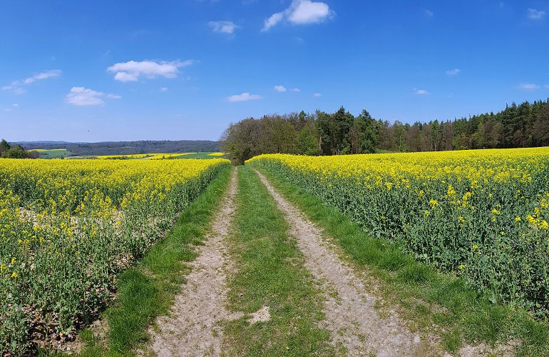 Fürstengrund-Wanderung
