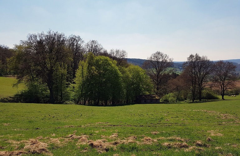 Fürstengrund-Wanderung