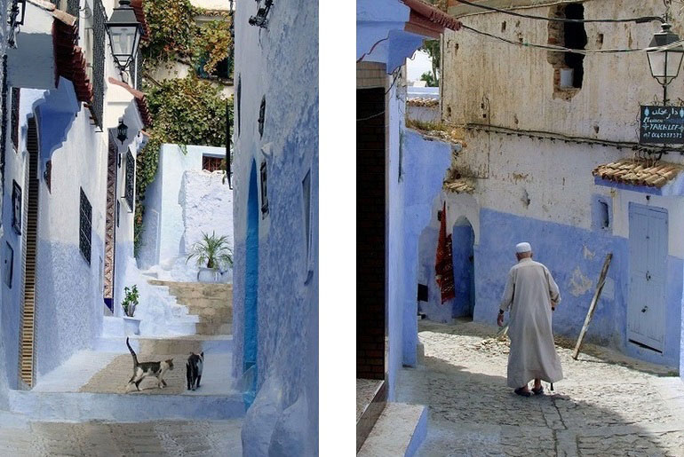 Chefchaouen Mann und Katzen