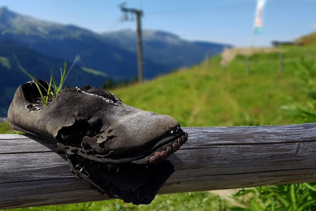 Terrasse Kuhgehrenalpe
