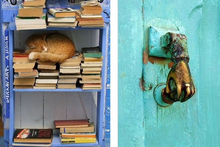 Schlafende Katze in einem Buchladen in Asilah