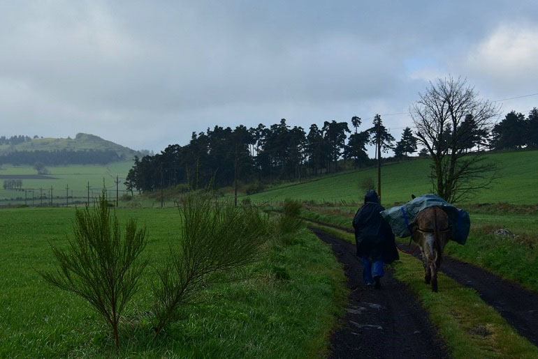 Regentag auf dem Stevensonweg