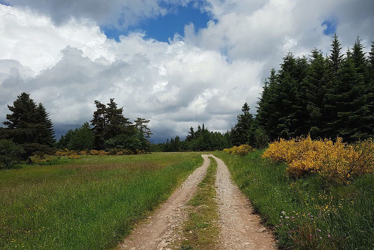 Chasseradès