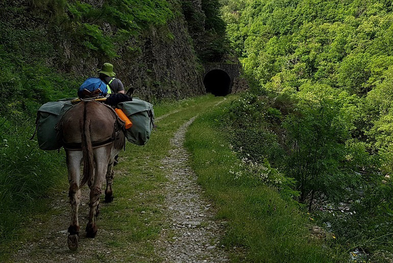 Tunnel auf dem Stevensonweg