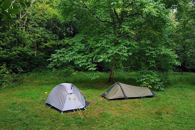 Wildcampen