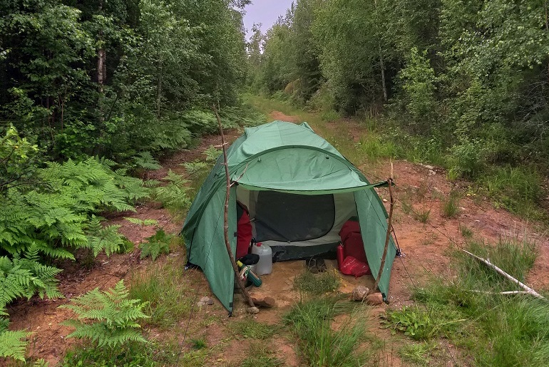 Wildcampen