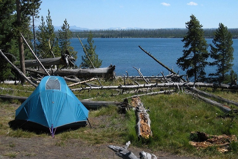 Wildcampen