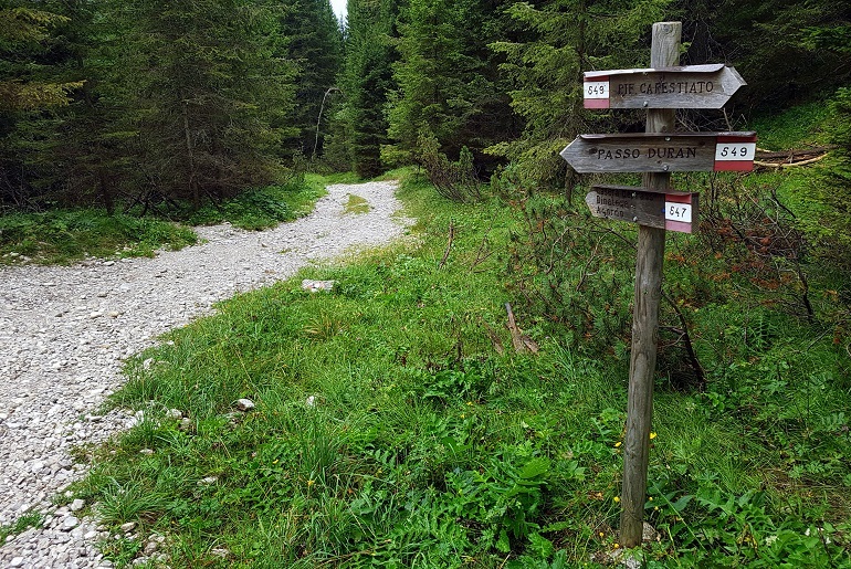 Auf dem Weg zum Passo Duran