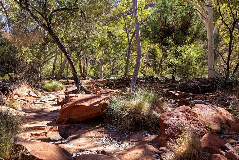 Bibbulmun Track