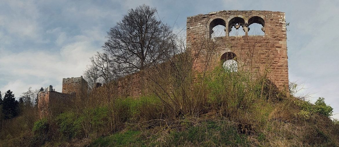 Burgruine Wildenberg