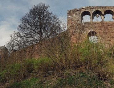 Burgruine Wildenberg