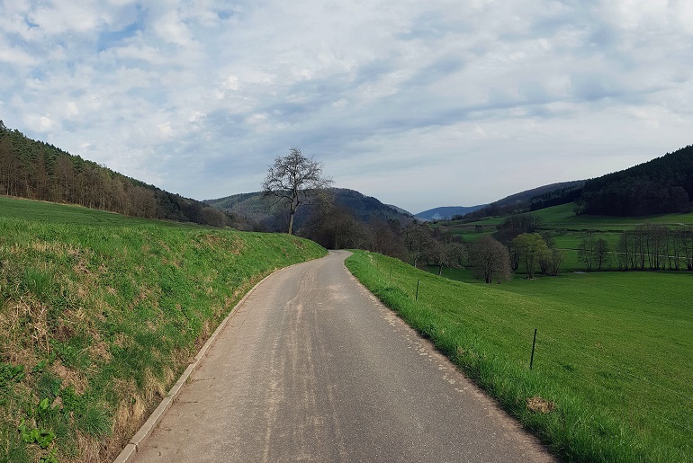 Wanderung Burg Wildenberg
