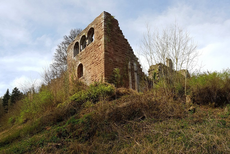 Burgruine Wildenberg