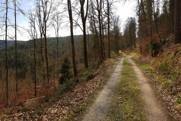 Waldweg