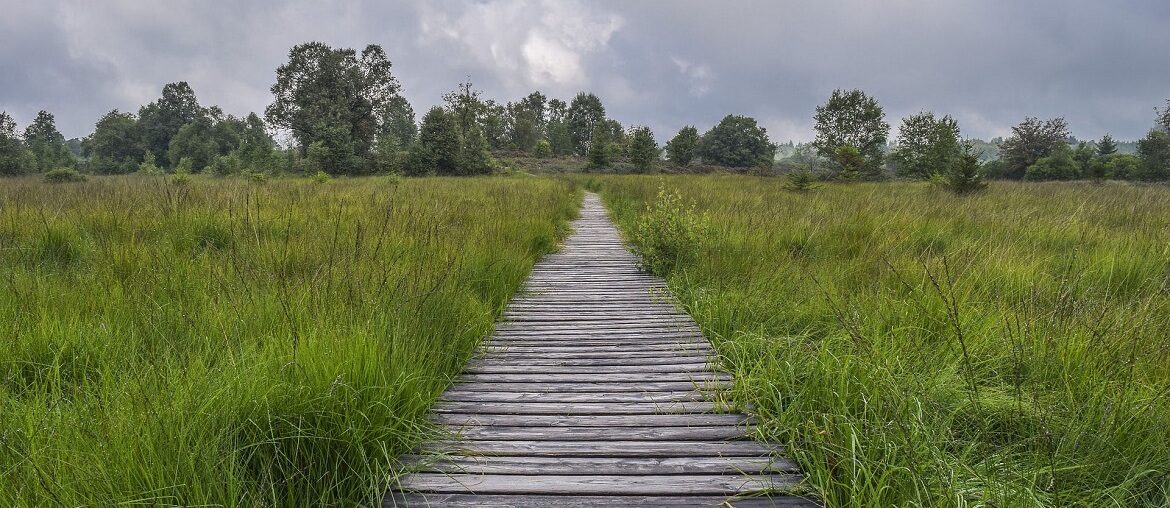 Wanderwege Deutschland