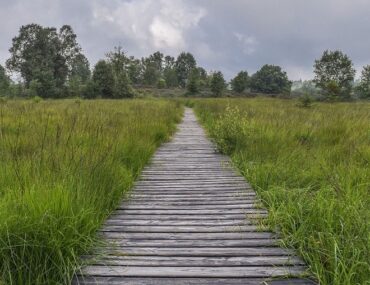 Wanderwege Deutschland