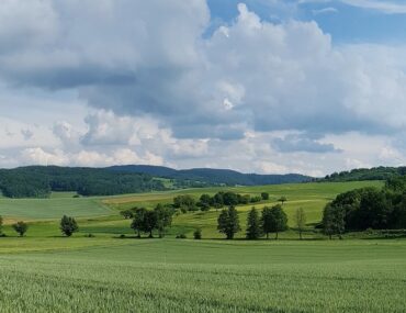 Rodensteinrunde