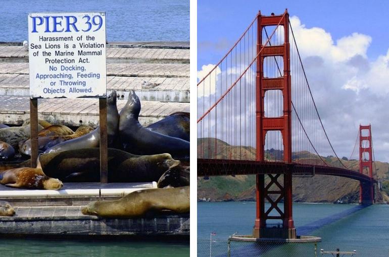 San Francisco