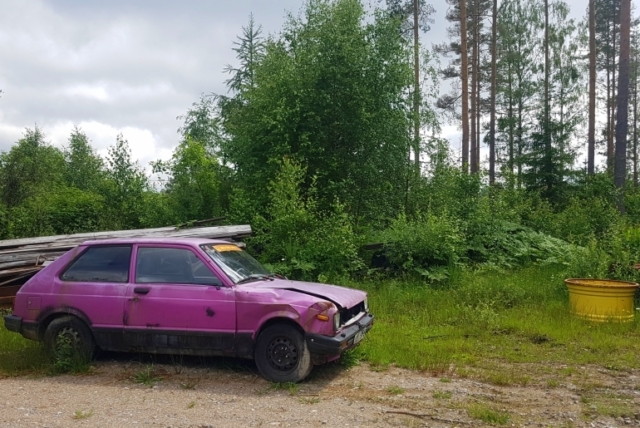 Auto im Wald???