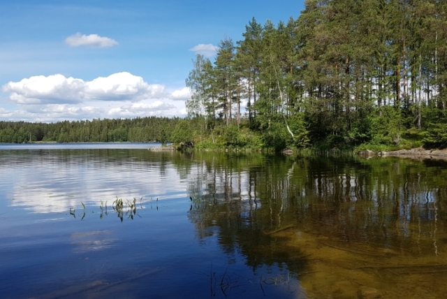 Natur pur!
