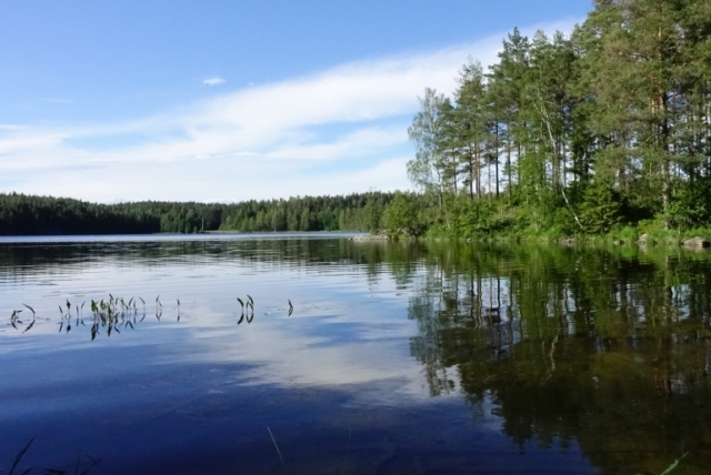 Am Ufer