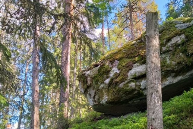 Auf der Insel
