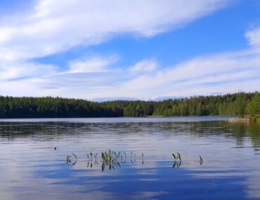 Dalsland