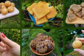 Wandersnacks