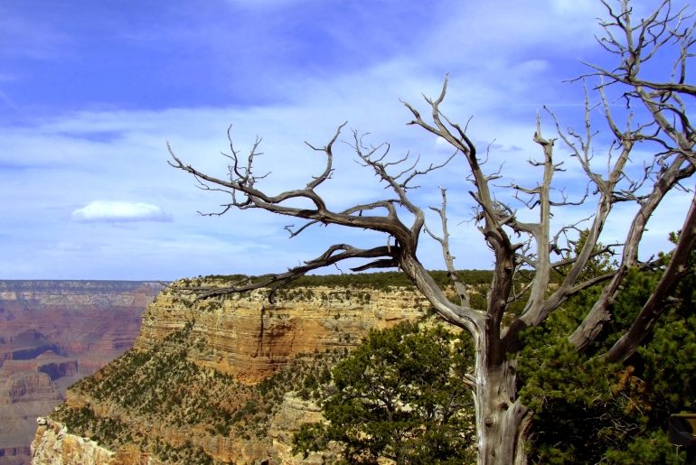 Grand Canyon
