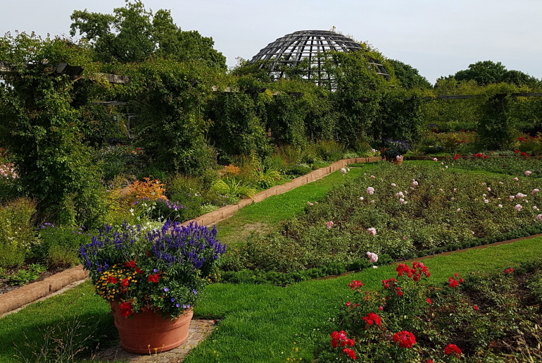 Rosarium, Park Rosenhöhe