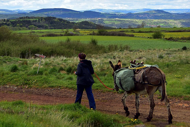 Reiseapotheke für Outdoorreisen