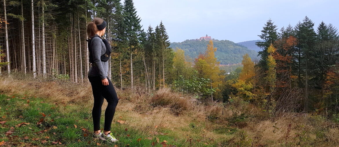 Trailrun Breuberg bis Borberg