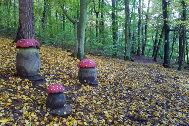 Pilze am Weg