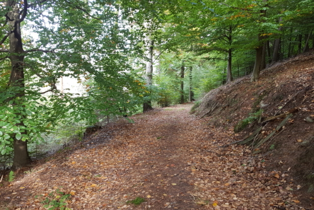 Im Wald
