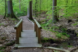 Obrunnschlucht