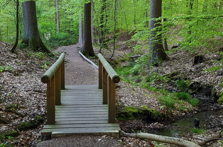 Obrunnschlucht