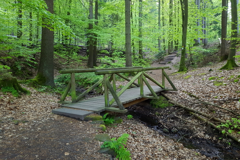 Obrunnschlucht