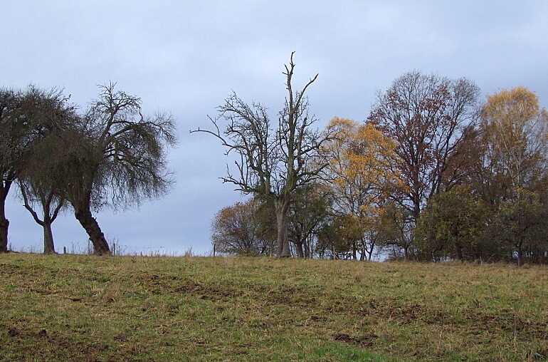 Panoramaweg EM1