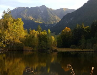 Moorweiher
