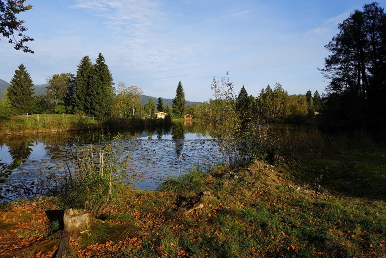 Moorweiher