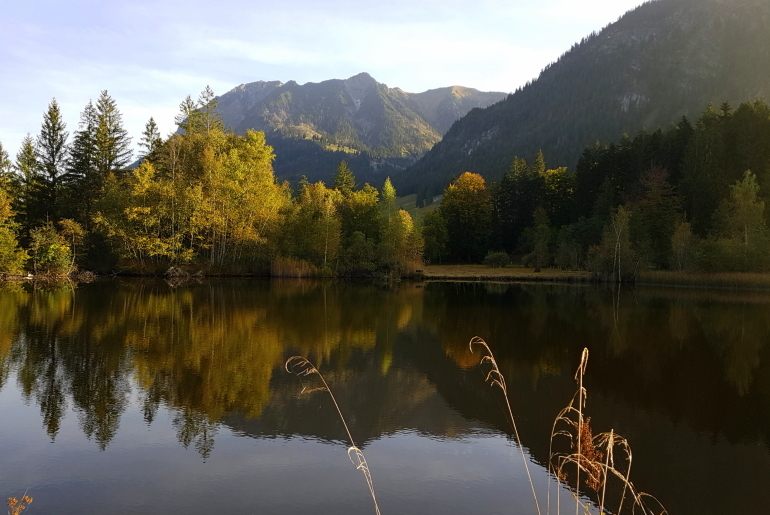 Moorweiher