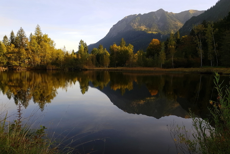 Moorweiher