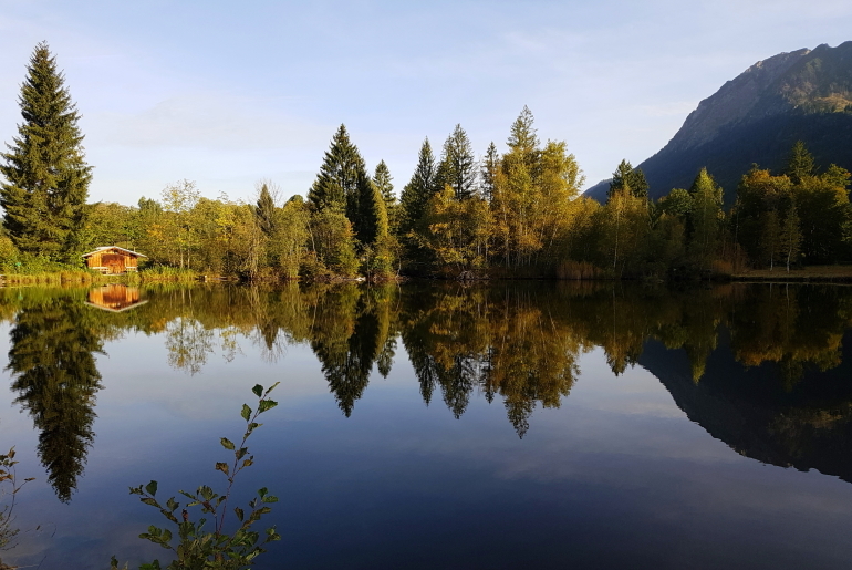 Moorweiher