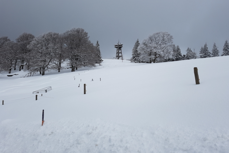 Schauinsland
